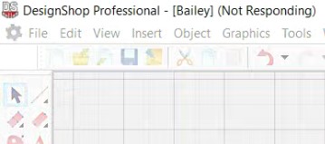 dsnotresponding.jpg